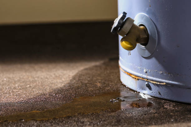 Best 24/7 water damage repair  in Lathrop, CA