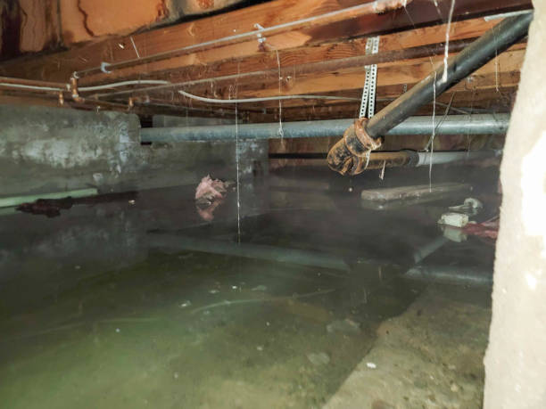 Best Sewage cleanup and water damage restoration  in Lathrop, CA