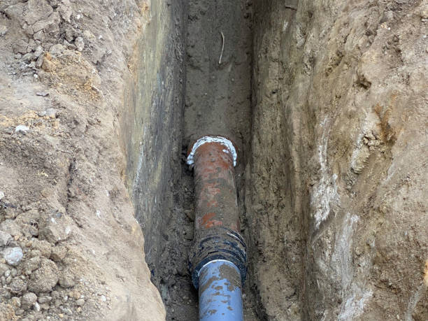 Best Flood damage cleanup  in Lathrop, CA