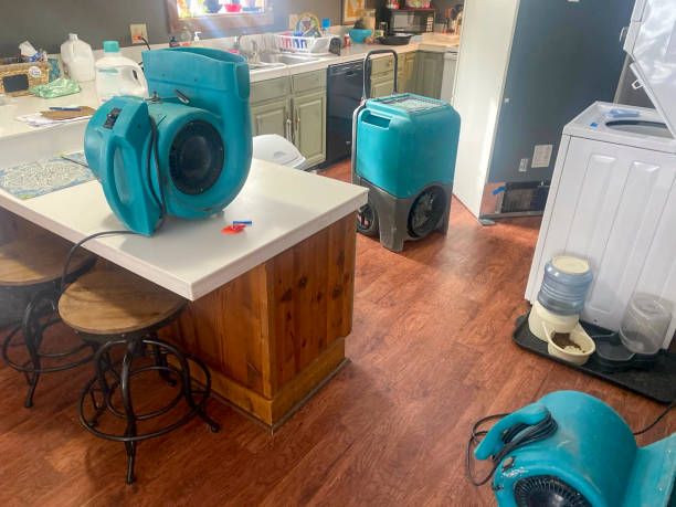 Best 24-hour water damage restoration  in Lathrop, CA