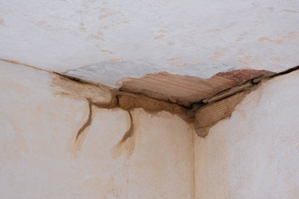 Best 24/7 water damage repair  in Lathrop, CA