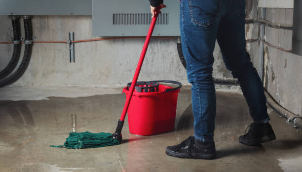 Best Water damage restoration specialists  in Lathrop, CA