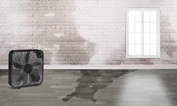 Best Carpet water damage restoration  in Lathrop, CA