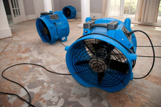  Lathrop, CA Water damage restoration Pros
