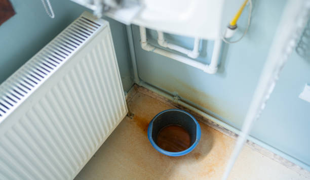 Best Water damage restoration mold remediation  in Lathrop, CA