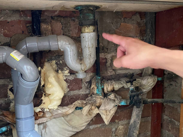 Best Flood restoration services  in Lathrop, CA