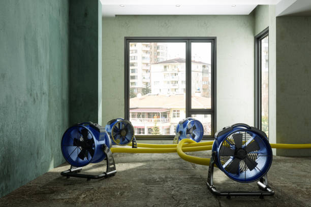 Best Residential water damage restoration  in Lathrop, CA